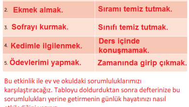 4. Sınıf Hecce Yayıncılık İnsan Hakları Yurttaşlık Ve Demokrasi Ders Kitabı Sayfa 27 Cevapları