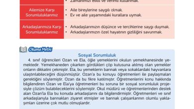 4. Sınıf Hecce Yayıncılık İnsan Hakları Yurttaşlık Ve Demokrasi Ders Kitabı Sayfa 26 Cevapları