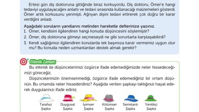 4. Sınıf Hecce Yayıncılık İnsan Hakları Yurttaşlık Ve Demokrasi Ders Kitabı Sayfa 25 Cevapları