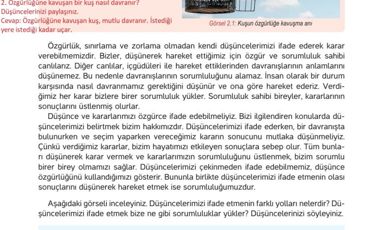 4. Sınıf Hecce Yayıncılık İnsan Hakları Yurttaşlık Ve Demokrasi Ders Kitabı Sayfa 24 Cevapları