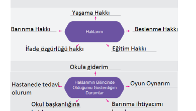 4. Sınıf Hecce Yayıncılık İnsan Hakları Yurttaşlık Ve Demokrasi Ders Kitabı Sayfa 21 Cevapları