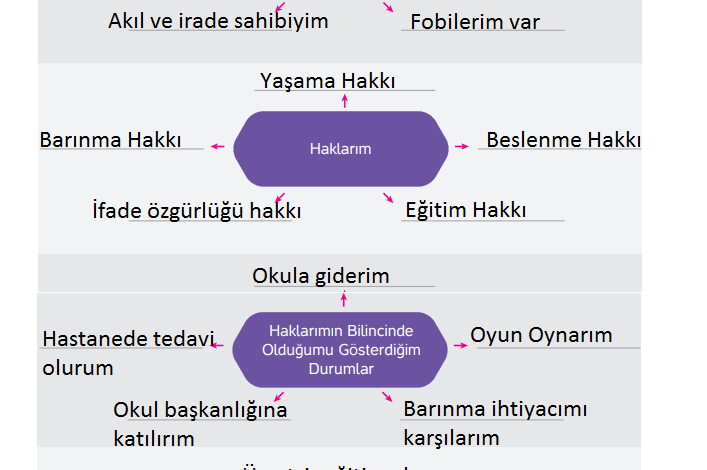 4. Sınıf Hecce Yayıncılık İnsan Hakları Yurttaşlık Ve Demokrasi Ders Kitabı Sayfa 21 Cevapları