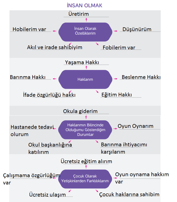 4. Sınıf Hecce Yayıncılık İnsan Hakları Yurttaşlık Ve Demokrasi Ders Kitabı Sayfa 21 Cevapları