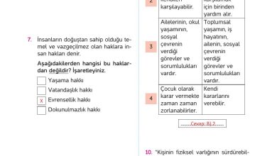 4. Sınıf Hecce Yayıncılık İnsan Hakları Yurttaşlık Ve Demokrasi Ders Kitabı Sayfa 20 Cevapları