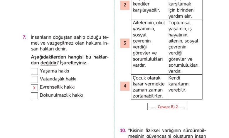 4. Sınıf Hecce Yayıncılık İnsan Hakları Yurttaşlık Ve Demokrasi Ders Kitabı Sayfa 20 Cevapları