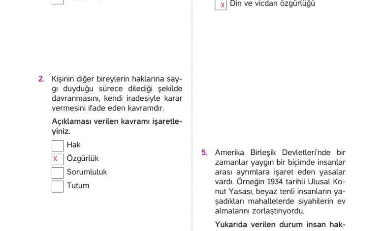 4. Sınıf Hecce Yayıncılık İnsan Hakları Yurttaşlık Ve Demokrasi Ders Kitabı Sayfa 19 Cevapları