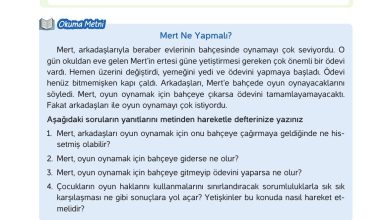 4. Sınıf Hecce Yayıncılık İnsan Hakları Yurttaşlık Ve Demokrasi Ders Kitabı Sayfa 17 Cevapları