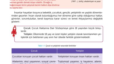 4. Sınıf Hecce Yayıncılık İnsan Hakları Yurttaşlık Ve Demokrasi Ders Kitabı Sayfa 16 Cevapları