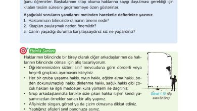 4. Sınıf Hecce Yayıncılık İnsan Hakları Yurttaşlık Ve Demokrasi Ders Kitabı Sayfa 15 Cevapları