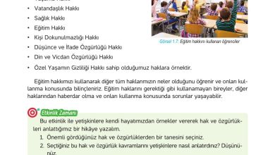 4. Sınıf Hecce Yayıncılık İnsan Hakları Yurttaşlık Ve Demokrasi Ders Kitabı Sayfa 13 Cevapları