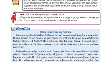 4. Sınıf Hecce Yayıncılık İnsan Hakları Yurttaşlık Ve Demokrasi Ders Kitabı Sayfa 12 Cevapları