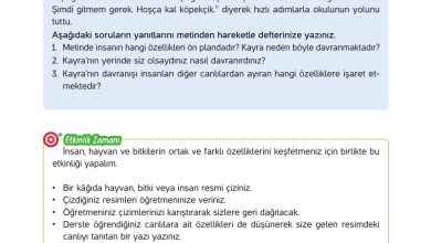 4. Sınıf Hecce Yayıncılık İnsan Hakları Yurttaşlık Ve Demokrasi Ders Kitabı Sayfa 11 Cevapları