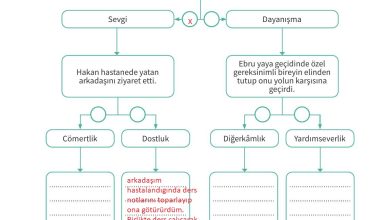 7. Sınıf Meb Yayınları Ahlak Ve Vatandaşlık Eğitimi Ders Kitabı Sayfa 43 Cevapları