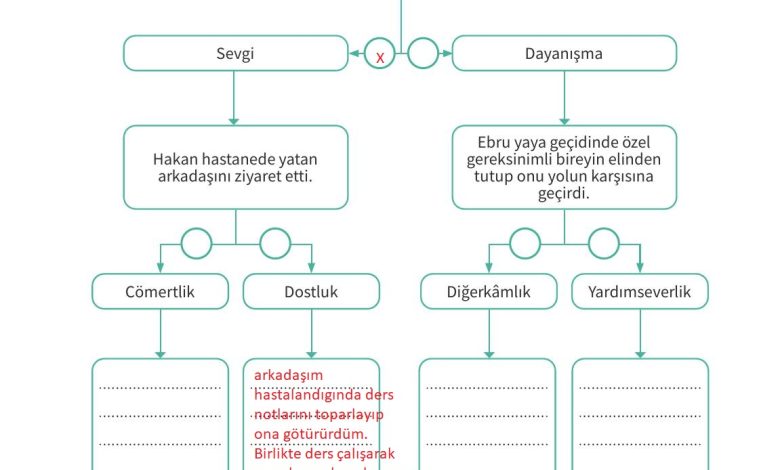 7. Sınıf Meb Yayınları Ahlak Ve Vatandaşlık Eğitimi Ders Kitabı Sayfa 43 Cevapları