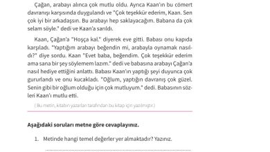 7. Sınıf Meb Yayınları Ahlak Ve Vatandaşlık Eğitimi Ders Kitabı Sayfa 41 Cevapları