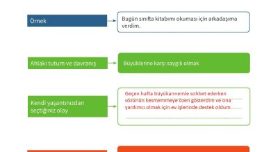 7. Sınıf Meb Yayınları Ahlak Ve Vatandaşlık Eğitimi Ders Kitabı Sayfa 37 Cevapları