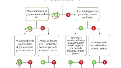 6. Sınıf Meb Yayınları Ahlak Ve Vatandaşlık Eğitimi Ders Kitabı Sayfa 61 Cevapları