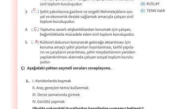 5. Sınıf Meb Yayınları 2. Kitap Ahlak Ve Vatandaşlık Eğitimi Ders Kitabı Sayfa 175 Cevapları