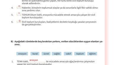 5. Sınıf Meb Yayınları 2. Kitap Ahlak Ve Vatandaşlık Eğitimi Ders Kitabı Sayfa 174 Cevapları