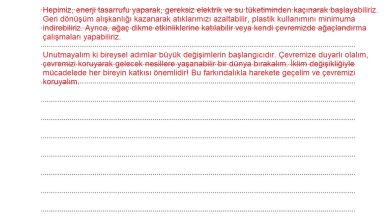 5. Sınıf Meb Yayınları 2. Kitap Ahlak Ve Vatandaşlık Eğitimi Ders Kitabı Sayfa 173 Cevapları