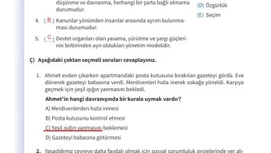 5. Sınıf Meb Yayınları 2. Kitap Ahlak Ve Vatandaşlık Eğitimi Ders Kitabı Sayfa 151 Cevapları