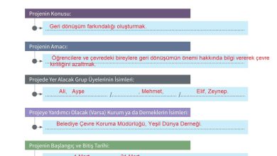 5. Sınıf Meb Yayınları 2. Kitap Ahlak Ve Vatandaşlık Eğitimi Ders Kitabı Sayfa 146 Cevapları