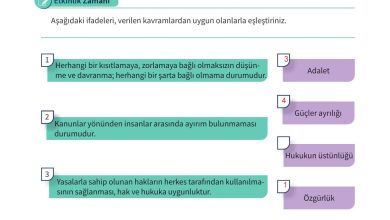 5. Sınıf Meb Yayınları 2. Kitap Ahlak Ve Vatandaşlık Eğitimi Ders Kitabı Sayfa 133 Cevapları