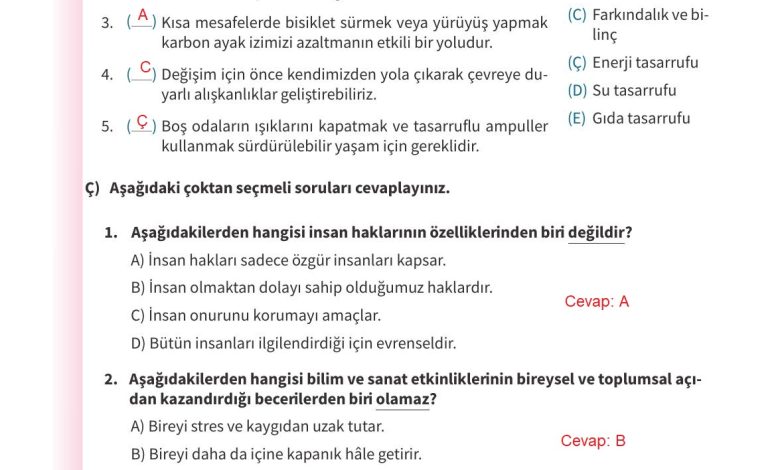 5. Sınıf Meb Yayınları 2. Kitap Ahlak Ve Vatandaşlık Eğitimi Ders Kitabı Sayfa 123 Cevapları