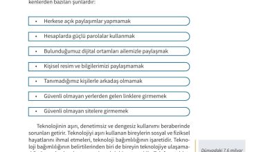 5. Sınıf Meb Yayınları 2. Kitap Ahlak Ve Vatandaşlık Eğitimi Ders Kitabı Sayfa 119 Cevapları