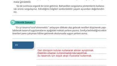 5. Sınıf Meb Yayınları 2. Kitap Ahlak Ve Vatandaşlık Eğitimi Ders Kitabı Sayfa 117 Cevapları