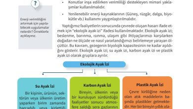 5. Sınıf Meb Yayınları 2. Kitap Ahlak Ve Vatandaşlık Eğitimi Ders Kitabı Sayfa 114 Cevapları