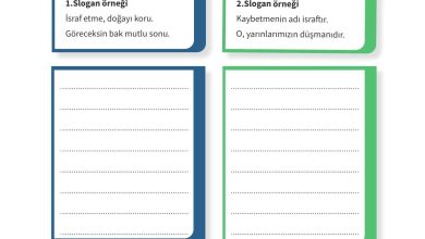 5. Sınıf Meb Yayınları 2. Kitap Ahlak Ve Vatandaşlık Eğitimi Ders Kitabı Sayfa 112 Cevapları