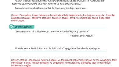 5. Sınıf Meb Yayınları 2. Kitap Ahlak Ve Vatandaşlık Eğitimi Ders Kitabı Sayfa 108 Cevapları