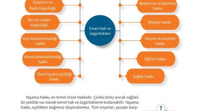 5. Sınıf Meb Yayınları 2. Kitap Ahlak Ve Vatandaşlık Eğitimi Ders Kitabı Sayfa 101 Cevapları