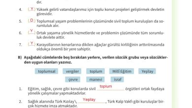 5. Sınıf Meb Yayınları 2. Kitap Ahlak Ve Vatandaşlık Eğitimi Ders Kitabı Sayfa 90 Cevapları