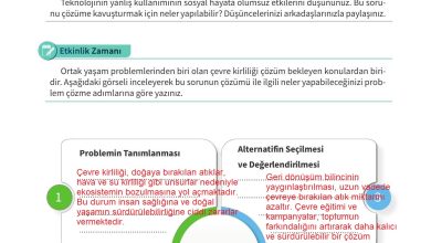 5. Sınıf Meb Yayınları 2. Kitap Ahlak Ve Vatandaşlık Eğitimi Ders Kitabı Sayfa 89 Cevapları