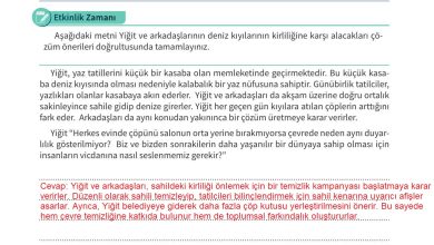 6. Sınıf Meb Yayınları 2. Kitap Ahlak Ve Vatandaşlık Eğitimi Ders Kitabı Sayfa 58 Cevapları