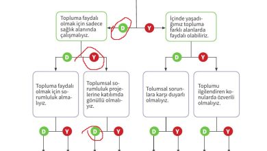 6. Sınıf Meb Yayınları 2. Kitap Ahlak Ve Vatandaşlık Eğitimi Ders Kitabı Sayfa 55 Cevapları