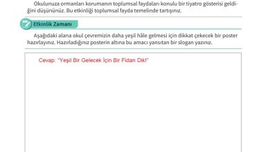 6. Sınıf Meb Yayınları 2. Kitap Ahlak Ve Vatandaşlık Eğitimi Ders Kitabı Sayfa 54 Cevapları