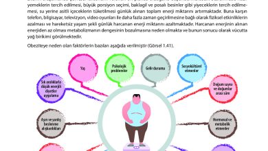 9. Sınıf Meb Yayınları Sağlık Bilgisi Ve Trafik Kültürü Ders Kitabı Sayfa 57 Cevapları