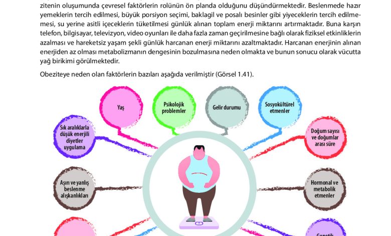 9. Sınıf Meb Yayınları Sağlık Bilgisi Ve Trafik Kültürü Ders Kitabı Sayfa 57 Cevapları