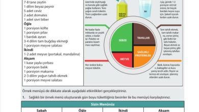 9. Sınıf Meb Yayınları Sağlık Bilgisi Ve Trafik Kültürü Ders Kitabı Sayfa 55 Cevapları