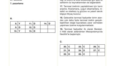 10. Sınıf Meb Yayınları Sürdürülebilir Tarım Ve Gıda Güvenliği Ders Kitabı Sayfa 138 Cevapları