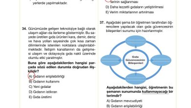 10. Sınıf Meb Yayınları Sürdürülebilir Tarım Ve Gıda Güvenliği Ders Kitabı Sayfa 131 Cevapları