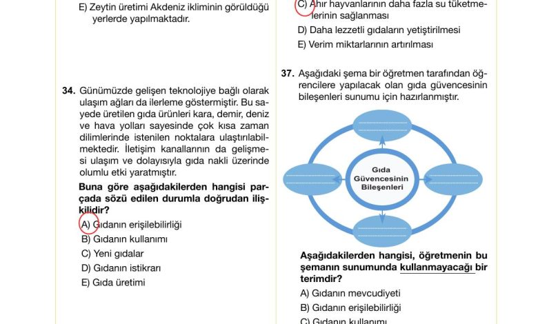 10. Sınıf Meb Yayınları Sürdürülebilir Tarım Ve Gıda Güvenliği Ders Kitabı Sayfa 131 Cevapları