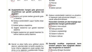 10. Sınıf Meb Yayınları Sürdürülebilir Tarım Ve Gıda Güvenliği Ders Kitabı Sayfa 130 Cevapları