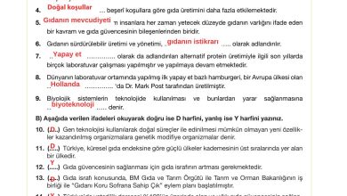 10. Sınıf Meb Yayınları Sürdürülebilir Tarım Ve Gıda Güvenliği Ders Kitabı Sayfa 128 Cevapları