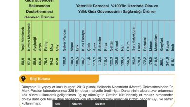 10. Sınıf Meb Yayınları Sürdürülebilir Tarım Ve Gıda Güvenliği Ders Kitabı Sayfa 127 Cevapları