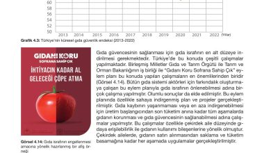 10. Sınıf Meb Yayınları Sürdürülebilir Tarım Ve Gıda Güvenliği Ders Kitabı Sayfa 126 Cevapları