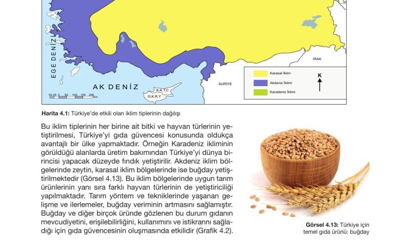 10. Sınıf Meb Yayınları Sürdürülebilir Tarım Ve Gıda Güvenliği Ders Kitabı Sayfa 125 Cevapları